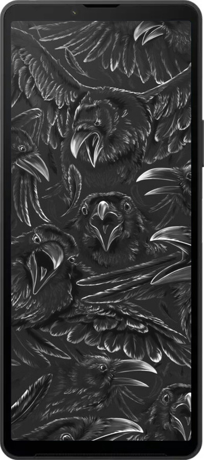 Силиконовый чехол Воронья ярость для Sony Xperia 10 VI - 6474u-3976 изображение 