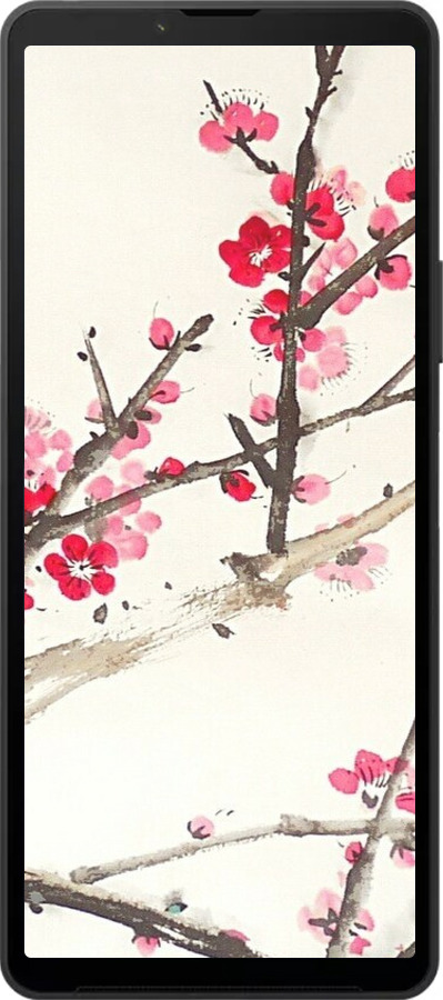 Силиконовый чехол Принт с изображением цветения сакуры для Sony Xperia 10 VI - 6545u-3976 изображение 