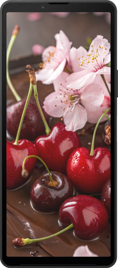 Силиконовый чехол Вишня в шоколаде для Sony Xperia 10 VI - 6698u-3976 изображение 