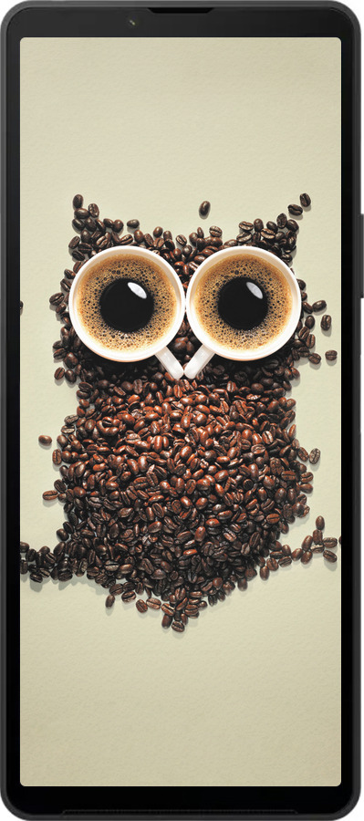 Силиконовый чехол Сова из кофе для Sony Xperia 10 VI - 777u-3976 изображение 