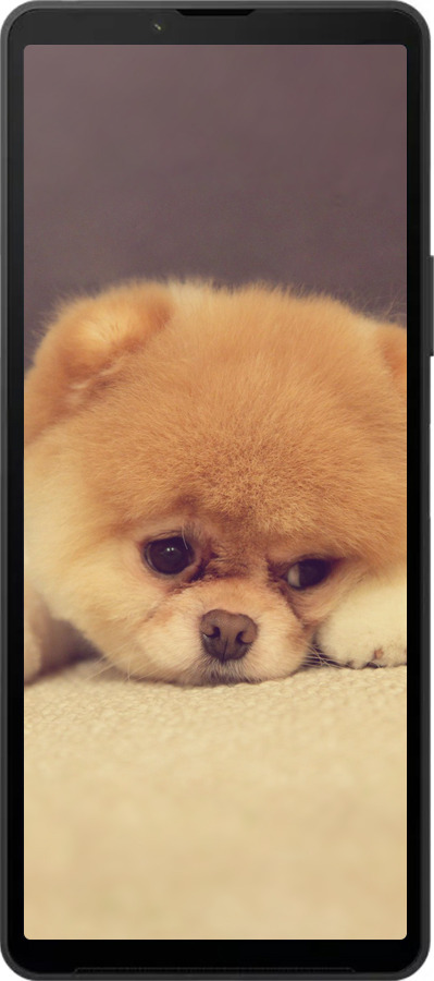 Силиконовый чехол Boo 2 для Sony Xperia 10 VI - 890u-3976 изображение 