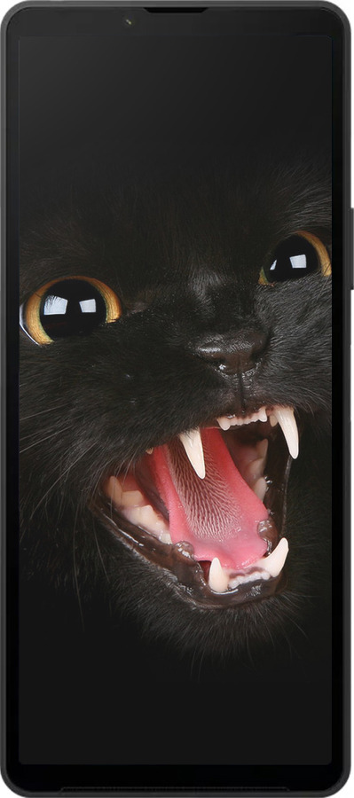 Силіконовий чехол Чорна кішка для Sony Xperia 10 VI - 932u-3976 изображение 