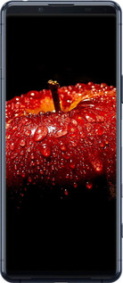 2D пластиковий чехол Яблуко для Sony Xperia 5 II - 6022t-2258 изображение 