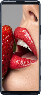 2D пластиковий чехол Насолода для Sony Xperia 5 II - 6701t-2258 изображение 