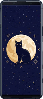2D пластиковий чехол Cute Cat Celestial/Witchy для Sony Xperia 5 II - 6787t-2258 изображение 