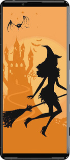 Силиконовый чехол Ведьма на метле для Sony Xperia 5 III - 1184u-2580 изображение 