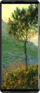 Силіконовий чехол Клод Моне для Sony Xperia 5 III - 1193u-2580 изображение 