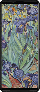 Силиконовый чехол Винсент Ван Гог. Ирисы для Sony Xperia 5 III - 161u-2580 изображение 