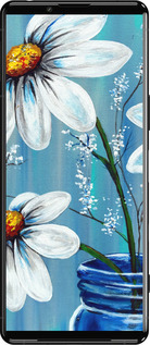 Силиконовый чехол Красивые арт-ромашки для Sony Xperia 5 III - 4031u-2580 изображение 