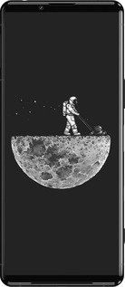 Силіконовий чехол Moon in dark для Sony Xperia 5 III - 4176u-2580 изображение 