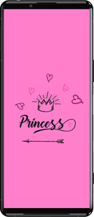 Силиконовый чехол Princess для Sony Xperia 5 III - 4361u-2580 изображение 