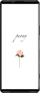 Силиконовый чехол Пион для Sony Xperia 5 III - 4366u-2580 изображение 