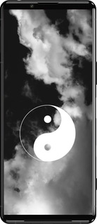 Силиконовый чехол Инь и Янь для Sony Xperia 5 III - 4389u-2580 изображение 