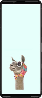 Силиконовый чехол Модная лама для Sony Xperia 5 III - 4479u-2580 изображение 