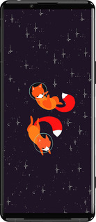 Силиконовый чехол Лисички в космосе для Sony Xperia 5 III - 4519u-2580 изображение 