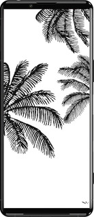 Силіконовий чехол Пальми1 для Sony Xperia 5 III - 4634u-2580 изображение 