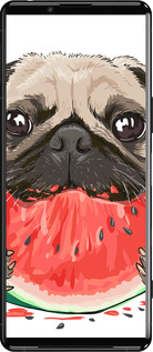 Силиконовый чехол Мопс и арбуз для Sony Xperia 5 III - 4665u-2580 изображение 