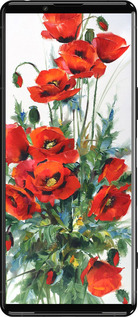 Силиконовый чехол Маки для Sony Xperia 5 III - 523u-2580 изображение 