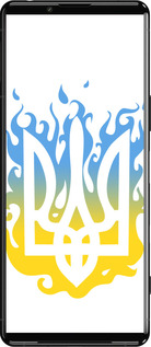 Силиконовый чехол Герб v1 для Sony Xperia 5 III - 5258u-2580 изображение 