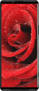 Силиконовый чехол Красная роза для Sony Xperia 5 III - 529u-2580 изображение 