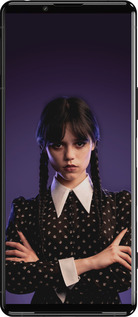 Силиконовый чехол Wednesday v3 для Sony Xperia 5 III - 5517u-2580 изображение 