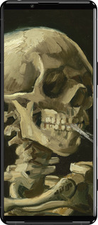 Силиконовый чехол Винсент Ван Гог. Череп для Sony Xperia 5 III - 5544u-2580 изображение 
