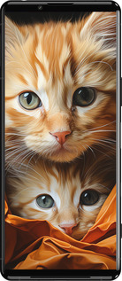 Силиконовый чехол Котики 2 для Sony Xperia 5 III - 5664u-2580 изображение 