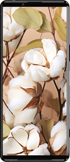 Силиконовый чехол Хлопок для Sony Xperia 5 III - 5665u-2580 изображение 