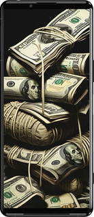 Силиконовый чехол Big money для Sony Xperia 5 III - 5666u-2580 изображение 