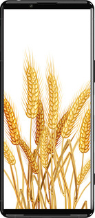 Силиконовый чехол Колоски пшеници для Sony Xperia 5 III - 5866u-2580 изображение 