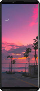 Силиконовый чехол Пальмы для Sony Xperia 5 III - 5873u-2580 изображение 