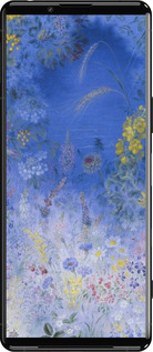 Силіконовий чехол Білокур для Sony Xperia 5 III - 5908u-2580 изображение 