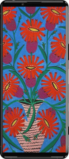 Силиконовый чехол Примаченко для Sony Xperia 5 III - 5909u-2580 изображение 