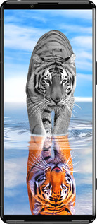 Силиконовый чехол Тигр для Sony Xperia 5 III - 6016u-2580 изображение 