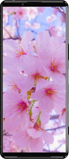 Силіконовий чехол Сакура для Sony Xperia 5 III - 6029u-2580 изображение 