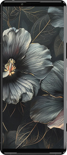 Силиконовый чехол Черные цветы для Sony Xperia 5 III - 6031u-2580 изображение 