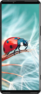 Силиконовый чехол Божья коровка для Sony Xperia 5 III - 6049u-2580 изображение 