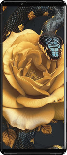 Силиконовый чехол Black snake and golden rose для Sony Xperia 5 III - 6068u-2580 изображение 