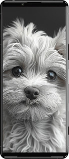 Силиконовый чехол Мальтипу на чорном фоне для Sony Xperia 5 III - 6156u-2580 изображение 