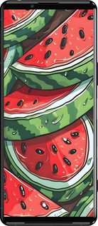 Силиконовый чехол Арбуз для Sony Xperia 5 III - 6315u-2580 изображение 