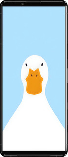 Силиконовый чехол Гусь для Sony Xperia 5 III - 6350u-2580 изображение 