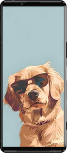 Силиконовый чехол Пес в очках для Sony Xperia 5 III - 6381u-2580 изображение 