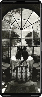 Силіконовий чехол Череп та коти для Sony Xperia 5 III - 6432u-2580 изображение 