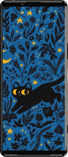 Силіконовий чехол Літня ніч для Sony Xperia 5 III - 6472u-2580 изображение 