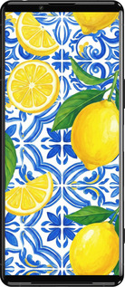 Силиконовый чехол Grocery Girl Italian Summer для Sony Xperia 5 III - 6766u-2580 изображение 