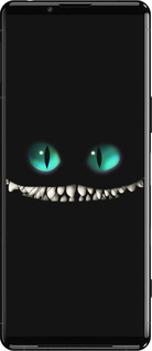 Силіконовий чехол Чеширський кіт для Sony Xperia 5 III - 689u-2580 изображение 