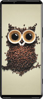 Силиконовый чехол Сова из кофе для Sony Xperia 5 III - 777u-2580 изображение 