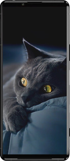 Силиконовый чехол Дымчатый кот для Sony Xperia 5 III - 825u-2580 изображение 