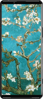 Силиконовый чехол Винсент Ван Гог. Сакура для Sony Xperia 5 III - 841u-2580 изображение 