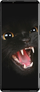 Силиконовый чехол Чёрная кошка для Sony Xperia 5 III - 932u-2580 изображение 